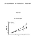 Notch-Binding Agents and Antagonists and Methods of Use Thereof diagram and image