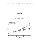 Notch-Binding Agents and Antagonists and Methods of Use Thereof diagram and image