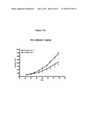 Notch-Binding Agents and Antagonists and Methods of Use Thereof diagram and image