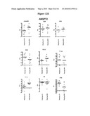 Notch-Binding Agents and Antagonists and Methods of Use Thereof diagram and image