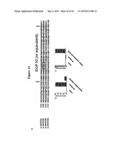 Notch-Binding Agents and Antagonists and Methods of Use Thereof diagram and image