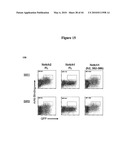 Notch-Binding Agents and Antagonists and Methods of Use Thereof diagram and image