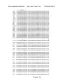 ENGINEERED ANTI-IL-23P19 ANTIBODIES diagram and image