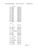 ENGINEERED ANTI-IL-23P19 ANTIBODIES diagram and image