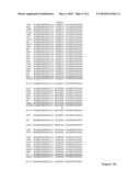 ENGINEERED ANTI-IL-23P19 ANTIBODIES diagram and image