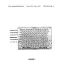 BINDING PARTNERS OF ANTIBODIES SPECIFIC FOR DENDRITIC CELL ANTIGENS diagram and image