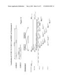 COMPOSITIONS AND METHODS FOR PREVENTION OR TREATMENT OF NEOPLASTIC DISEASE IN A MAMMALIAN SUBJECT diagram and image