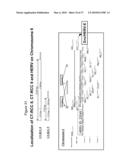 COMPOSITIONS AND METHODS FOR PREVENTION OR TREATMENT OF NEOPLASTIC DISEASE IN A MAMMALIAN SUBJECT diagram and image