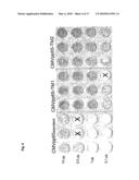 Recombinant vaccines and use thereof diagram and image