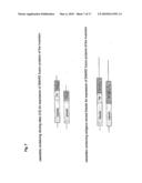 Recombinant vaccines and use thereof diagram and image