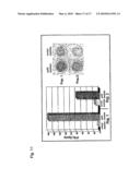 Recombinant vaccines and use thereof diagram and image