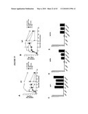 Papaya Mosaic Virus-Based Vaccines for Influenza diagram and image