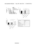 Papaya Mosaic Virus-Based Vaccines for Influenza diagram and image