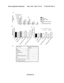 Papaya Mosaic Virus-Based Vaccines for Influenza diagram and image