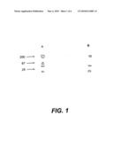 Acellular antibordetella vaccine diagram and image