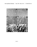 NOVEL HYDROGEL COMPOSITIONS AND METHODS OF USING diagram and image