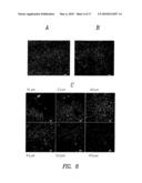 MULTIFUNCTIONAL AND BIOLOGICALLY ACTIVE MATRICES FROM MULTICOMPONENT POLYMERIC SOLUTIONS diagram and image