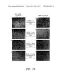 MULTIFUNCTIONAL AND BIOLOGICALLY ACTIVE MATRICES FROM MULTICOMPONENT POLYMERIC SOLUTIONS diagram and image