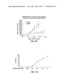 Extracts of Aristolochia Longa pomer and uses thereof diagram and image