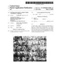 METHOD FOR MAKING CARBON FABRIC AND PRODUCT THEREOF diagram and image