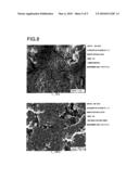 MAGNESIUM ALLOY COMPOSITE AND METHOD FOR MANUFACTURING SAME diagram and image