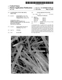 Nanomaterial With Core-Shell Structure diagram and image