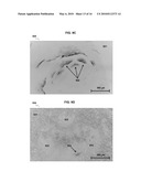 Anti-Reflective Coatings Comprising Ordered Layers of Nanowires and Methods of Making and Using the Same diagram and image