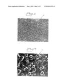 IMPLANT, METHOD FOR PRODUCING THE IMPLANT, AND USE OF THE IMPLANT diagram and image