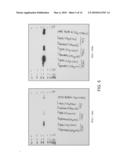 METHODS AND COMPOSITIONS FOR DIAGNOSIS AND TREATMENT OF INFLUENZA diagram and image