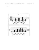 LUCIFERASE GENE OPTIMIZED FOR USE IN IMAGING OF INTRACELLULAR LUMINESCENCE diagram and image