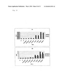 LUCIFERASE GENE OPTIMIZED FOR USE IN IMAGING OF INTRACELLULAR LUMINESCENCE diagram and image