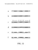 METHOD AND DEVICE FOR THE DETECTION OF GENETIC MATERIAL BY POLYMERASE CHAIN REACTION diagram and image