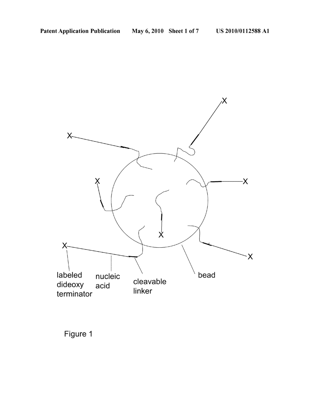 METHODS FOR SANGER SEQUENCING USING PARTICLE ASSOCIATED CLONAL AMPLICONS AND HIGHLY PARALLEL ELECTROPHORETIC SIZE-BASED SEPARATION - diagram, schematic, and image 02