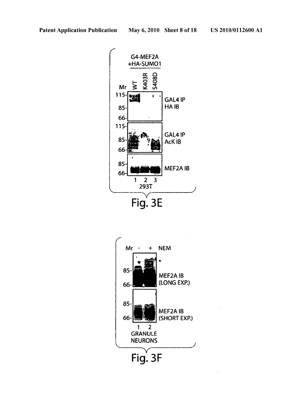 Methods and compositions for modulating synapse formation - diagram, schematic, and image 09