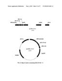 Protein-Protein Interaction Biosensors and Methods of Use Thereof diagram and image