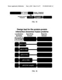 Protein-Protein Interaction Biosensors and Methods of Use Thereof diagram and image