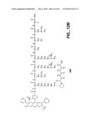 LIGAND-CONTAINING MICELLES AND USES THEREOF diagram and image