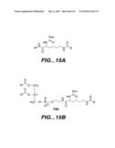 LIGAND-CONTAINING MICELLES AND USES THEREOF diagram and image