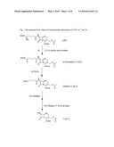 Two-Step Enzyme Method for Preparing 7-Aminocephalosporanic Acid diagram and image