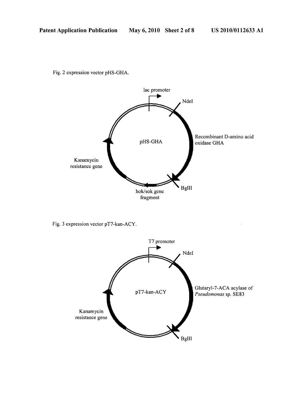 Two-Step Enzyme Method for Preparing 7-Aminocephalosporanic Acid - diagram, schematic, and image 03