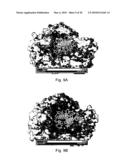 Generation of modified polymerases for improved accuracy in single molecule sequencing diagram and image