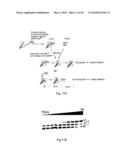 Generation of modified polymerases for improved accuracy in single molecule sequencing diagram and image