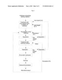 ENZYMATIC HYDROLYSIS OF A CELLULOSE MATERIAL TREATED WITH AN IONIC LIQUID diagram and image