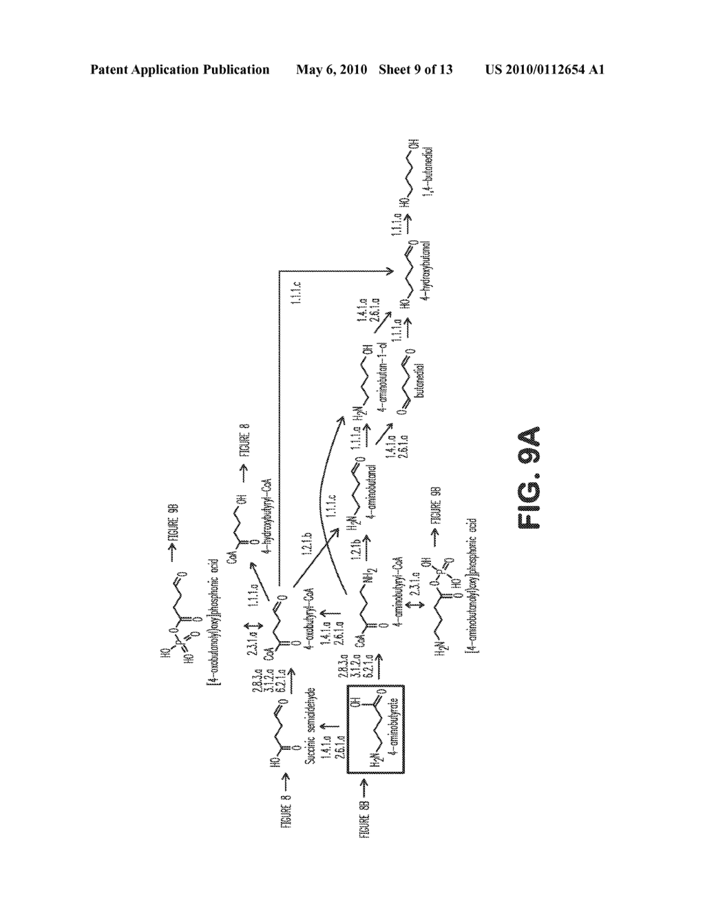 MICROORGANISMS FOR THE PRODUCTION OF 1,4-BUTANEDIOL - diagram, schematic, and image 10