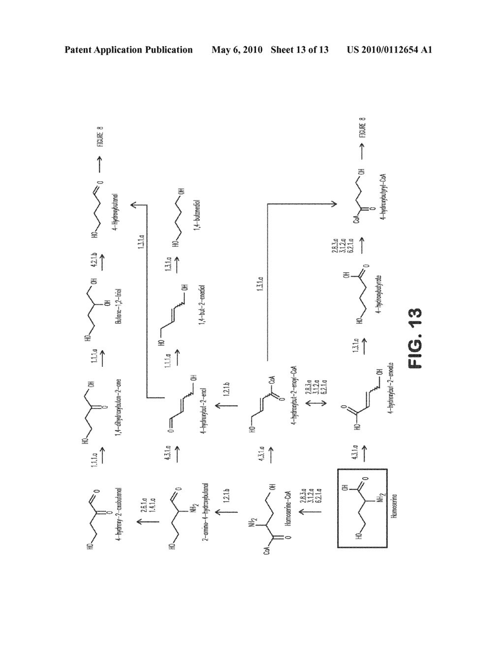 MICROORGANISMS FOR THE PRODUCTION OF 1,4-BUTANEDIOL - diagram, schematic, and image 14