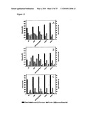 RE-ENGINEERING BACTERIA FOR ETHANOL PRODUCTION diagram and image