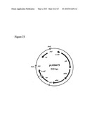 RE-ENGINEERING BACTERIA FOR ETHANOL PRODUCTION diagram and image