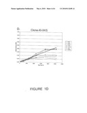 Transformed Saccharomyces cerevisiae Engineered for Xylose Utilization diagram and image