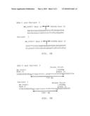 ONCOKINASE FUSION POLYPEPTIDES ASSOCIATED WITH HYPERPROLIFERATIVE AND RELATED DISORDERS, NUCLEIC ACIDS ENCODING THE SAME AND METHODS FOR DETECTING AND IDENTIFYING THE SAME diagram and image