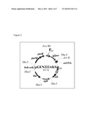 MICROCIN H47 PLASMID SELECTION SYSTEM diagram and image